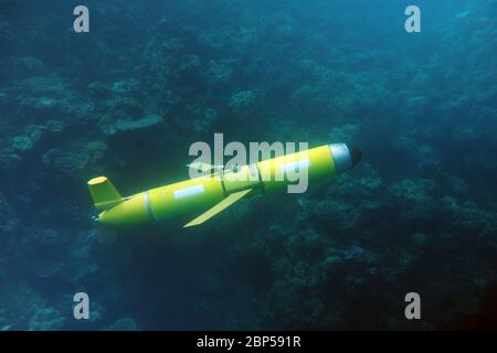 Slocum Ozeangleiter unter Wasser in der Nähe von Korallenriff, Great Barrier Reef, Queensland, Australien. Keine Pr Stockfoto