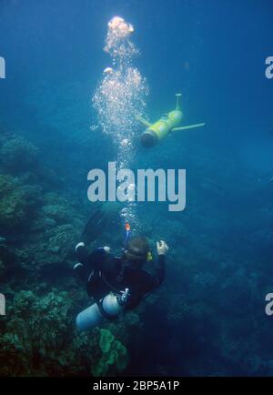 Tauchen Sehen Ozeangleiter unter Wasser, Great Barrier Reef, Queensland, Australien. Keine MR oder PR Stockfoto