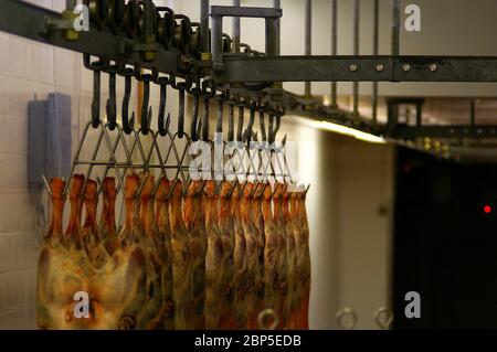 Lamm hängt an Fleischhaken bei einem Großhändler Stockfoto
