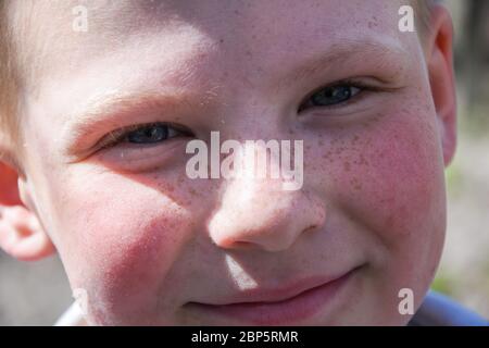 Kleines Kind mit wütenden blauen Augen für Kindheit Rebellion, Sommersprossen, Nahaufnahme jungen Augen, Blick auf die Kamera, Porträt Kinder, Makro Stockfoto