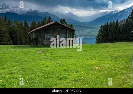 Typische schweizer Almhütte auf einer üppigen Wiese im Frühling in Beatenberg Stockfoto