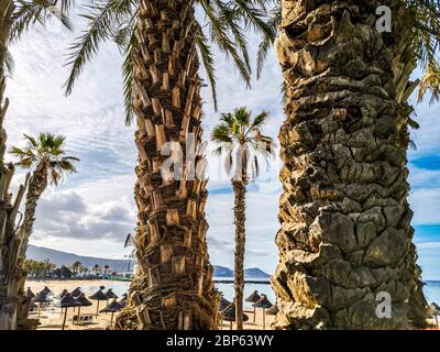Blick auf den tropischen Strand mit frühmorgendlichen Licht und niemand auf dem Sand oder über Sonnenliegen und Sonnenschirmen - schönes Konzept der Sommerurlaub mit Stockfoto
