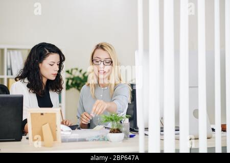 Grafikdesignerinnen arbeiten an Projekten, diskutieren Ideen und planen Arbeit Stockfoto