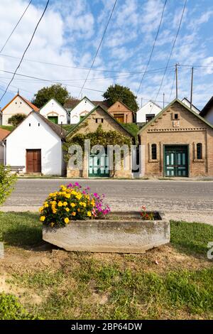 Weinkeller in Villanykovesd, Villany, Ungarn Stockfoto