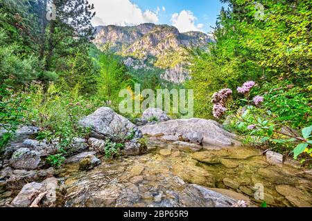 Naturlandschaft mit Bach und Olympus Range. Prionia, Pieria, Griechenland Stockfoto