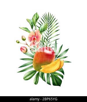 Wasserfarbige Mangofrüchte. Vertikales Bouquet mit saftigen Früchten, tropischen Orchideenblüten und Palmenblättern. Botanische handgezeichnete Illustration für Karten Stockfoto