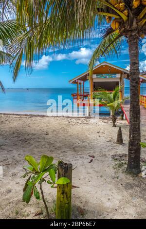 West End Roatan Stockfoto