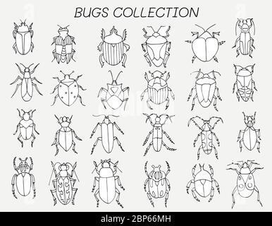 Insekt flache Linie Symbole gesetzt. Bugs, Vektor-Illustrationen. Malbuch Seite. Stock Vektor