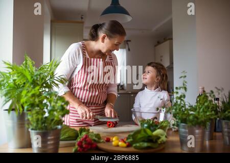 Kleines Mädchen mit älterer Großmutter in der Küche zuhause, Essen vorbereiten. Stockfoto