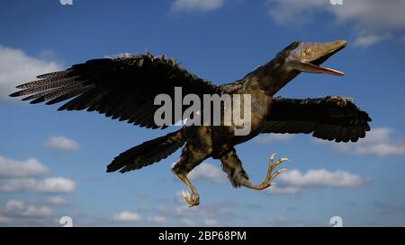 Archaeopteryx, ein vogelähnlicher Dinosaurier, der durch den Himmel fliegt Stockfoto