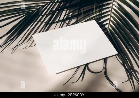 Exotisches Büromaterial im Sommer, Schreibtisch-Szene. Leere Grußkarte, Visitenkarte und Palmblätter auf beigefarbenem Tischhintergrund bei Sonnenlicht. Tropisches Pho Stockfoto
