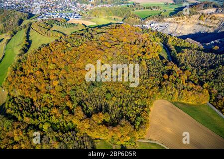 Luftaufnahme, Herbstwald in hellen Farben, nahe Habbel Steinbruch, Arnsberg, Sauerland, Nordrhein-Westfalen, Deutschland Stockfoto