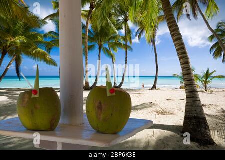 Kokosnussgetränke auf dem Tisch unter Palmen Blätter Sonnenschirm am tropischen Strand, türkisfarbenes Wasser des Meeres im Hintergrund. Sommerurlaub Konzept Stockfoto
