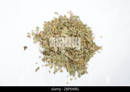 Chinesische Kräuter gesunde natürliche Tee Ginkgo Biloba Stockfoto