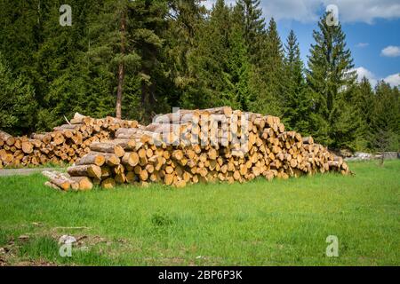 Holzstapel, Döllersheimer Ländchen, Waldviertel, Österreich Stockfoto