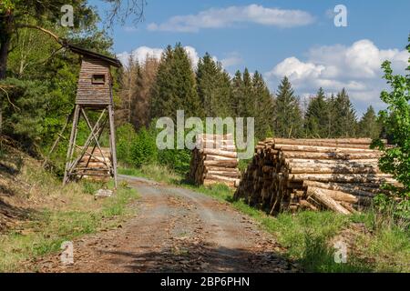 Holzstapel, Döllersheimer Ländchen, Waldviertel, Österreich Stockfoto