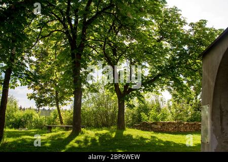 Friedhof, 'die alte Heimat' - Döllersheim, Waldviertel, Österreich Stockfoto