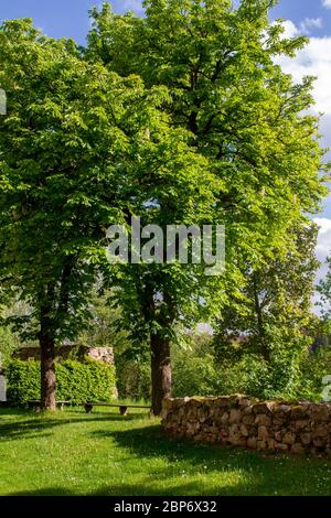 Friedhof, 'die alte Heimat' - Döllersheim, Waldviertel, Österreich Stockfoto