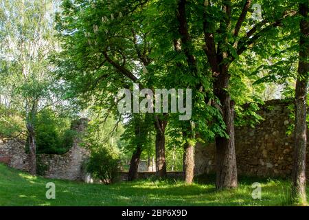 Friedhof, 'die alte Heimat' - Döllersheim, Waldviertel, Österreich Stockfoto