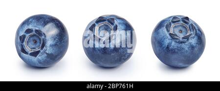 Set von drei Heidelbeeren isoliert auf weißem Hintergrund. Stockfoto