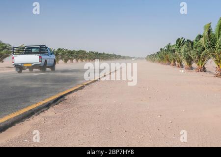 Sandsturm auf der Trans Kalahari Autobahn Stockfoto