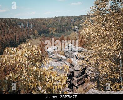 Biela Tal in Sachsen Stockfoto