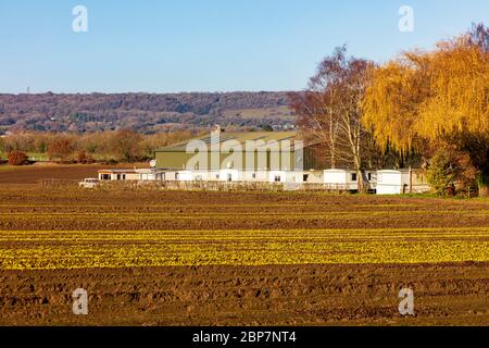 Blick auf frisch gepflügte Felder in der Nähe von Offham, Kent, Großbritannien BLICK auf die fernen, nebligen Nordabstiege Stockfoto