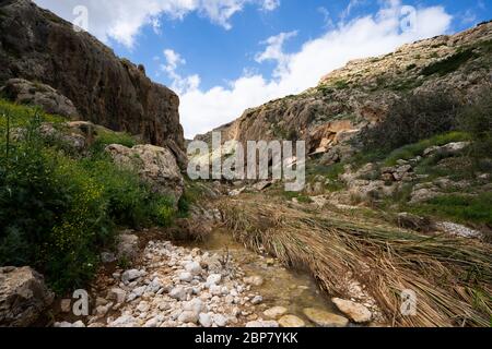 Judean Desert Wadi Qelt, (auch Kelt) in der Nähe von St. George Griechisch-Orthodoxen Kloster, im östlichen Westjordanland Stockfoto