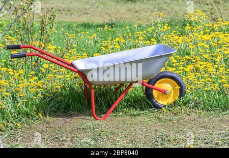 Leere Metallkarre in einem Frühlingsgarten. Gartenwagen aus nächster Nähe. Stockfoto