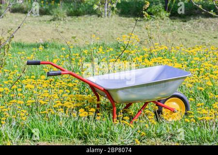 Leere Metallkarre in einem Frühlingsgarten. Gartenwagen aus nächster Nähe. Stockfoto