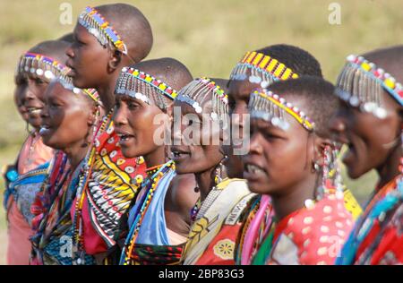 Samburu Maasai Frau. Samburu Maasai eine ethnische Gruppe von halbnomadischen Menschen, die in Samburu, Kenia, fotografiert wurden Stockfoto