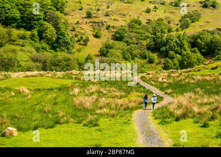 Zwei Frauen, die auf dem Fußweg zwischen dem Grasland spazieren. Grasland-Wanderweg mit zwei Wanderern an einem hellen sonnigen Tag. Stockfoto