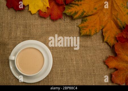 Herbst (Herbst) Tasse Tee mit Milch und bunten leuchtend orange, rot, gelb Blätter, Draufsicht. Stockfoto