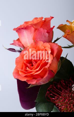 Verschiedene Blumen Blumenstrauß. Rosa Gerbera und sanften lila Rosen Nahaufnahme floral background. Stockfoto