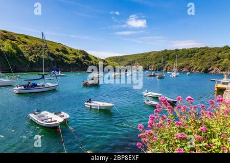 Boote im Hafen von Solva auf dem Pembrokeshire Coast Path, Wales Stockfoto