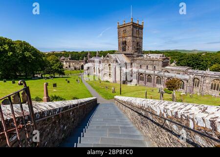 Stufen, die zum Südeingang der St Davids Cathedral in Pembrokeshire, Wales, führen Stockfoto