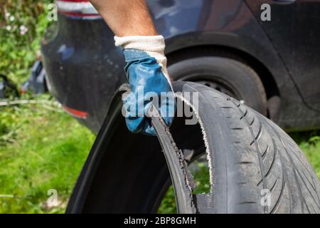 Alte Reifen. Die Hand des Meisters in einem blauen Handschuh hält den zerrissenen Reifen. Auf dem Hintergrund schwarzes Auto in Unschärfe Stockfoto