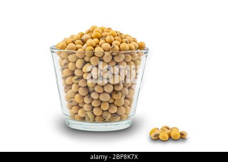 Sojabohnen oder Sojabohnen in einem Glas auf weißem Hintergrund mit Clipping-Pfad. Stockfoto