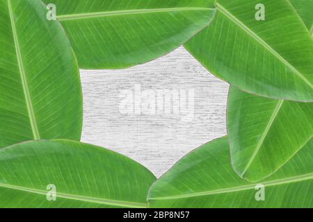 Bananenblatt Textur auf dem weißen Tisch Holz Stockfoto