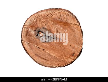 Holzstumpf isoliert auf weißem Hintergrund. Objekt mit Beschneidungspfad Stockfoto