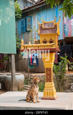 Hund bei einem Geisterhaus im Dorf. Silk Island, Phnom Penh, Kambodscha, Südostasien Stockfoto