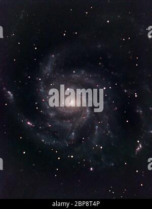 M101 Spiralgalaxie Pinwheel in Ursa Major, 17.5 Millionen Lichtjahre entfernt, 48 Minuten Belichtung mit astronomischer Kamera Stockfoto