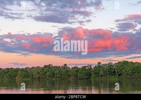 Rote Wolken über den tropischen Bäumen bei Sonnenuntergang in der Nähe von Porto Jofre, Brasilien Stockfoto