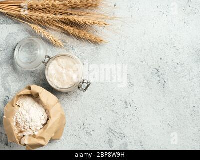 Weizensauerteig-Starter. Draufsicht der Brotzutaten - Glas mit Sauerteig Starter, Mehl in Papiertüte und Ohren über grauen Zement Hintergrund. Platz für Text oder Design kopieren. Stockfoto