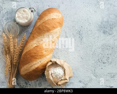 Britisches Weißblüher oder europäischer Sauerteig Baton-Brot auf grauem Zementgrund. Frisches Brot und Glas mit Sauerteig Starter, Mehl in Papiertüte und Ohren. Draufsicht. Kopierbereich Stockfoto