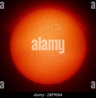 Sonnenscheibe und Prominenzen, fotografiert in der Hydrogen alpha (H alpha) Spektrallinie, 7.8.2007 (HINWEIS: Siehe Nutzungsbeschränkung) Stockfoto