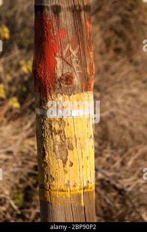 Alte abblätternde gelbe und rote Farbe auf Holzmast mit Metallband um ihn herum. Aufnahme bei Sonnenlicht Stockfoto