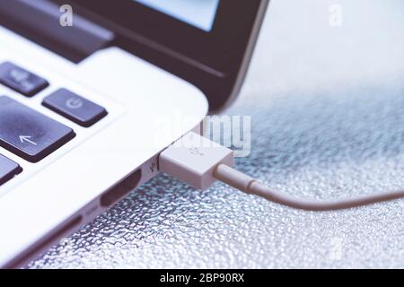 usb-Kabel in Laptop, Nahaufnahme Foto Stockfoto