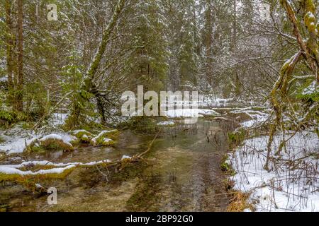 Landschaft rund um einen See namens Hintersee in Bayern im Winter Stockfoto