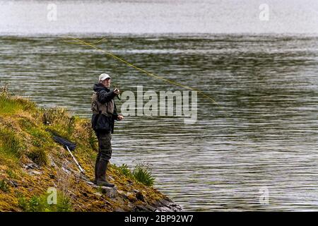 Ein Angler Fliegenfischen am Ufer des Ballysallagh Lower Reservoir nur Bangor, Nordirland als Angler haben sich erlaubt, Angeln gehen, wie die Lockdown erleichtert. Stockfoto